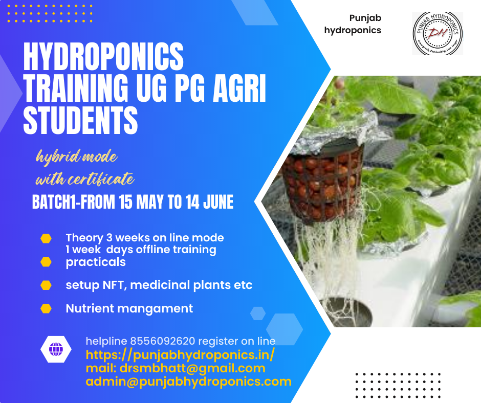 GANGA NAGAR, MAWANA ROAD NEAR INERNAIONAL PUBLIC SCHOOL IIMT UNIVERSY MEERUT 250001, PUNJAB HYDROPONICS JANDIALA GURU AMRITSAR